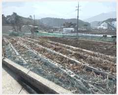  2025Ÿ30133   õ ġ 363-8      (1)