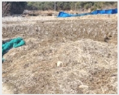  2025Ÿ30133   õ ġ 363-8      (1)