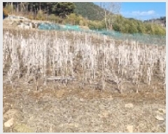  2025Ÿ30133   õ ġ 363-8      (1)