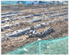  2025Ÿ30133   õ ġ 363-8      (1)