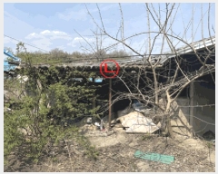  2025Ÿ��30145  ���ð��