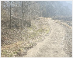  2025Ÿ��30147  �����