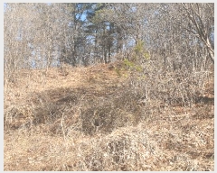  2025Ÿ��30147  �����