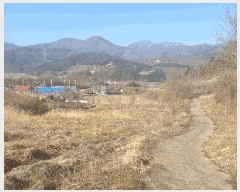  2025Ÿ��30147  �����