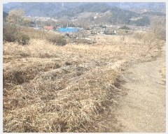  2025Ÿ��30147  �����