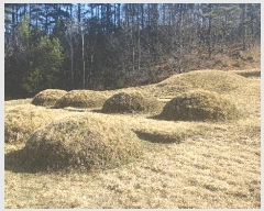  2025Ÿ��30147  �����