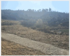  2025Ÿ��30147  �����