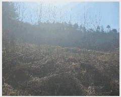  2025Ÿ��30147  �����