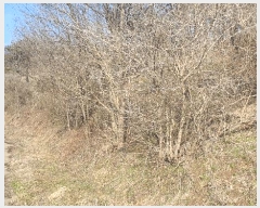  2025Ÿ��30147  �����