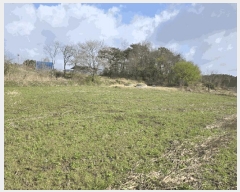  2025Ÿ��30157 ���� ��â�� �ݰ��� �񵿸� 492      ����(��1)���