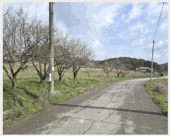  2025Ÿ��30157 ���� ��â�� �ݰ��� �񵿸� 492      ����(��1)���