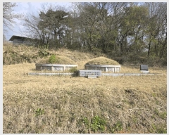  2025Ÿ��30157 ���� ��â�� �ݰ��� �񵿸� 492      ����(��1)���