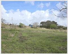  2025Ÿ��30157 ���� ��â�� �ݰ��� �񵿸� 492      ����(��1)���