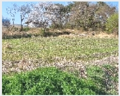  2025Ÿ��30157 ���� ��â�� �ݰ��� �񵿸� 492      ����(��1)���