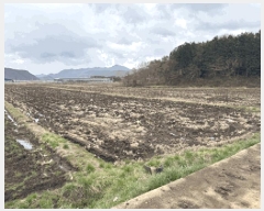  2025Ÿ��30159  ����