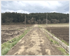  2025Ÿ��30159  ����