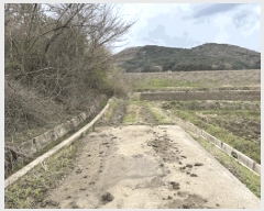  2025Ÿ��30159  ����