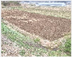  2025Ÿ��30159  ����