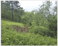  2025Ÿ��30169  �����