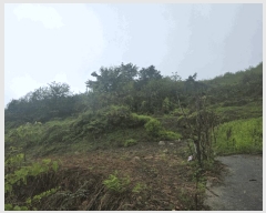  2025Ÿ��30169 ���� ������ �ƿ��� ���� 577      ����(��1)���