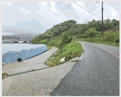  2025Ÿ��30169 ���� ������ �ƿ��� ���� 487-1      ����(����)���