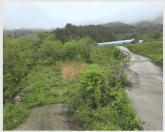  2025Ÿ��30169 ���� ������ �ƿ��� ���� ��41-2      ����(�Ӿ�)���