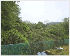  2025Ÿ��30169 ���� ������ �ƿ��� ���� ��41-2      ����(�Ӿ�)���