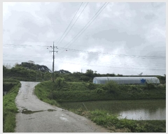  2025Ÿ��30169 ���� ������ �ƿ��� ���� ��41-2      ����(�Ӿ�)���