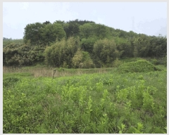  2025Ÿ��30169 ���� ������ �ƿ��� ���� ��41-2      ����(�Ӿ�)���