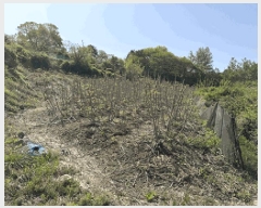  2025Ÿ��30171  ����