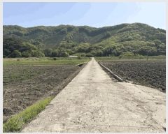  2025Ÿ��30171  ����