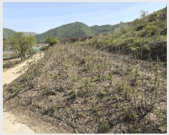  2025Ÿ��30171  ����