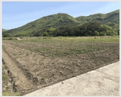  2025Ÿ��30171  ����