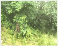  2025Ÿ��30181  ����