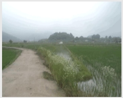  2025Ÿ��30181 ���� ��â�� ����� �ǰ 886      ����(��1)���