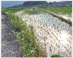  2025Ÿ��30181 ���� ��â�� ����� �ǰ 886      ����(��1)���