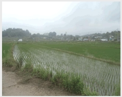  2025Ÿ��30181 ���� ��â�� ����� �ǰ 886      ����(��1)���