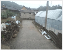  2025Ÿ��30181 ���� ��â�� ����� �ǰ 886      ����(��1)���