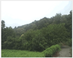  2025Ÿ��30181 ���� ��â�� ����� �ǰ 886      ����(��1)���