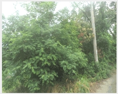  2025Ÿ��30181 ���� ��â�� ����� �ǰ 886      ����(��1)���