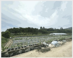  2025Ÿ��30183 ���� ������ ������ �Ծϸ� 758      ����(��1)���