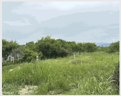  2025Ÿ��30183 ���� ������ ������ �Ծϸ� 758      ����(��1)���