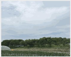  2025Ÿ��30183 ���� ������ ������ �Ծϸ� 758      ����(��1)���