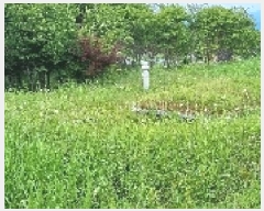  2025Ÿ��30183 ���� ������ ������ �Ծϸ� 758      ����(��1)���