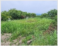  2025Ÿ��30183 ���� ������ ������ �Ծϸ� 758      ����(��1)���