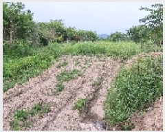  2025Ÿ��30183 ���� ������ ������ �Ծϸ� 758      ����(��1)���