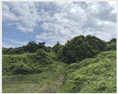  2025Ÿ��30187  ����