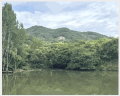  2025Ÿ��30187  ����