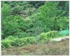  2025Ÿ��30187  ����