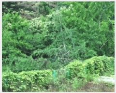  2025Ÿ��30187  ����